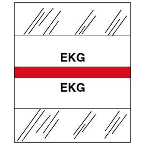 Stick On Index Tabs, EKG 1-1/2" X 1-1/4" (Pack of 100)
