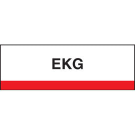 Stick On Index Tabs, EKG 1-1/2" X 1-1/4" (Pack of 100)