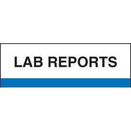 Stick On Index Tabs, LAB REPORTS 1-1/2" X 1-1/4" (Pack of 100)