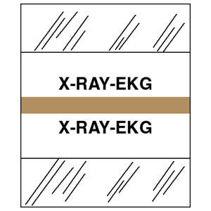 Stick On Index Tabs, X-RAY - EKG 1-1/2" X 1-1/4" (Pack of 100)