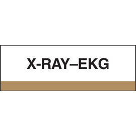 Stick On Index Tabs, X-RAY - EKG 1-1/2" X 1-1/4" (Pack of 100)