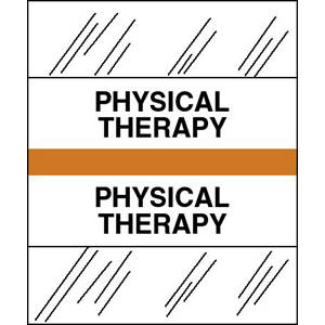 Stick On Index Tabs, PHYSICAL THERAPY 1-1/2" X 1-1/4" (Pack of 100)