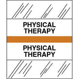 Stick On Index Tabs, PHYSICAL THERAPY 1-1/2" X 1-1/4" (Pack of 100)