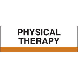 Stick On Index Tabs, PHYSICAL THERAPY 1-1/2" X 1-1/4" (Pack of 100)