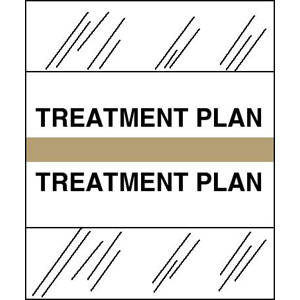 Stick On Index Tabs, TREATMENT PLAN 1-1/2" X 1-1/4" (Pack of 100)