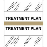 Stick On Index Tabs, TREATMENT PLAN 1-1/2" X 1-1/4" (Pack of 100)
