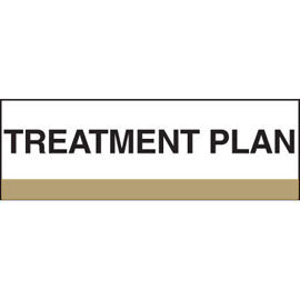 Stick On Index Tabs, TREATMENT PLAN 1-1/2" X 1-1/4" (Pack of 100)
