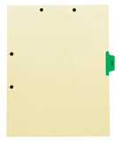 Individual Chart Divider Tabs, X-Ray (Light Green), Side Tab 1/8th Cut, Pos #4 (Pack of 50)
