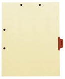 Individual Chart Divider Tabs, Hospital (Brown), Side Tab 1/8th Cut, Pos #5 (Pack of 50)