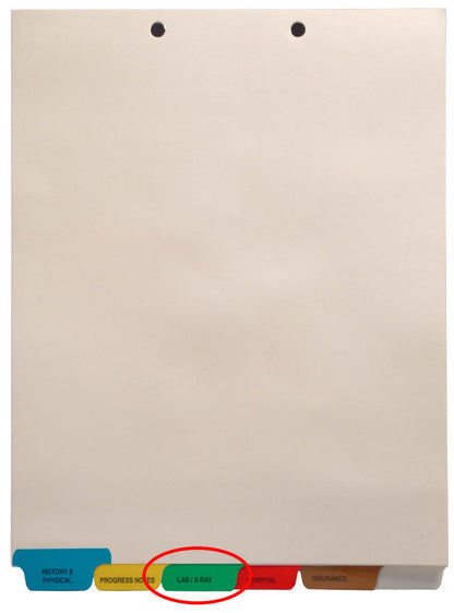 Individual Chart Divider Tabs, Lab/X-Ray, Green, Bottom Tab, 1/6th Cut, Pos. #3 (Pack of 25)