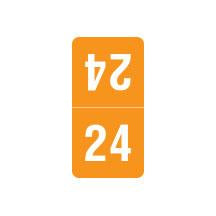 Smead Top Tab Year 24 Labels, 1" X 1/2" Laminated- Pack of 250