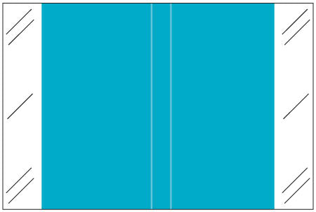 Tabbies 11100 Solid Light Blue Labels 1" X 1-1/2" Laminated- Roll of 500