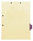 Individual Chart Divider Tabs, Insurance (Purple), Side Tab 1/8th Cut, Pos #6 (Pack of 50)